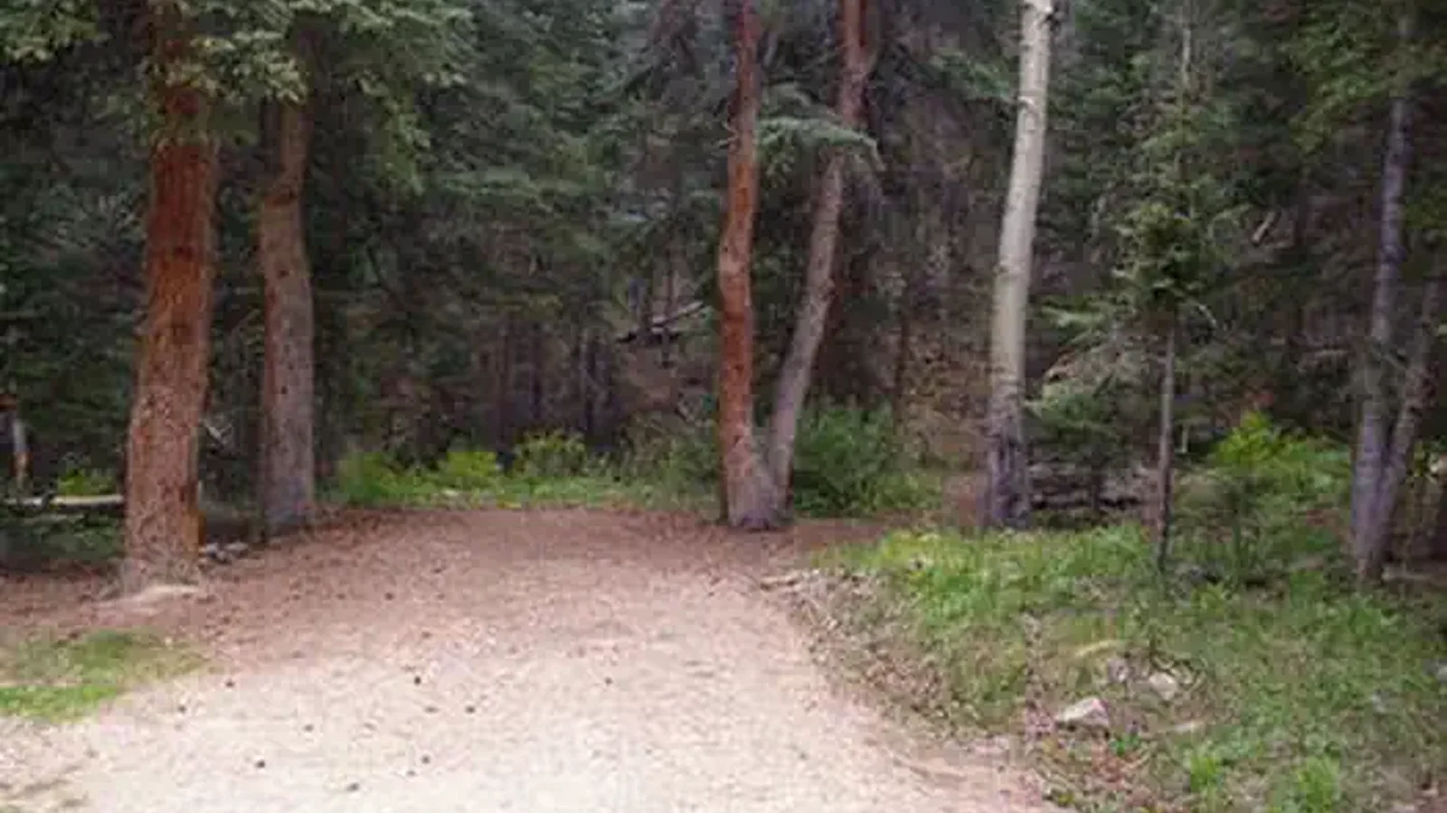 Bridges Campground
