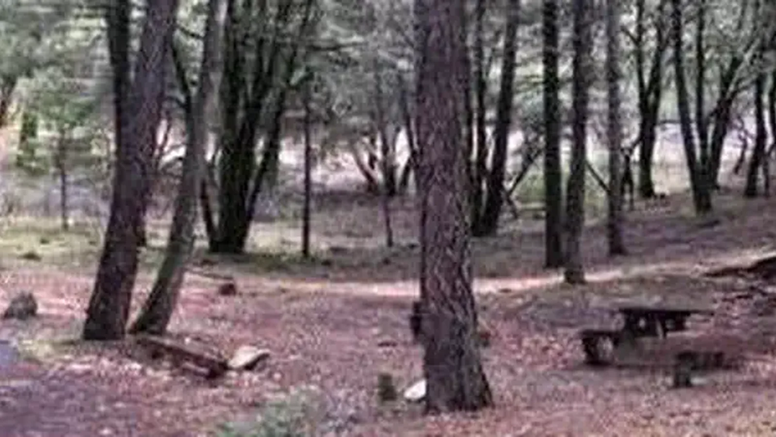 Hayden Flat Campground Group Sites