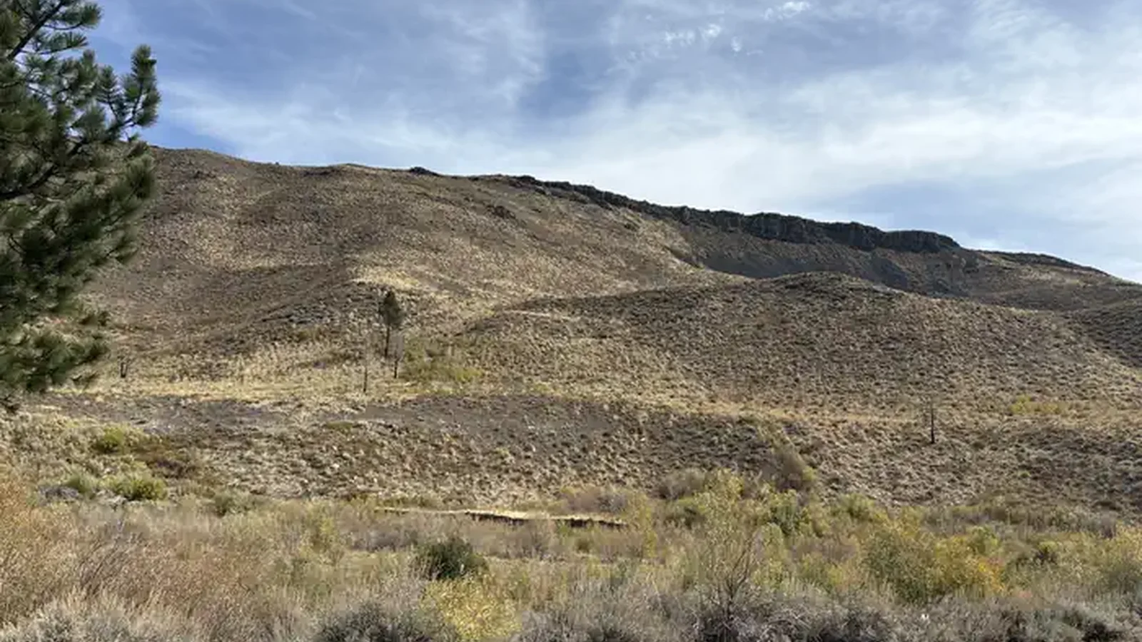 A photo of facility Chris Flat with No Amenities Shown