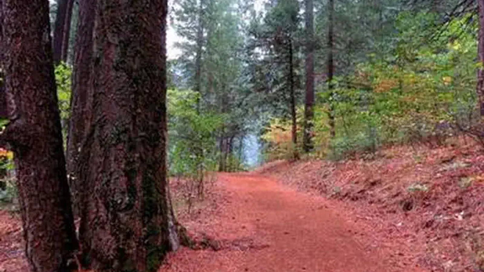 BRIDAL VEIL GROUP AREA AND PICNIC GROUND