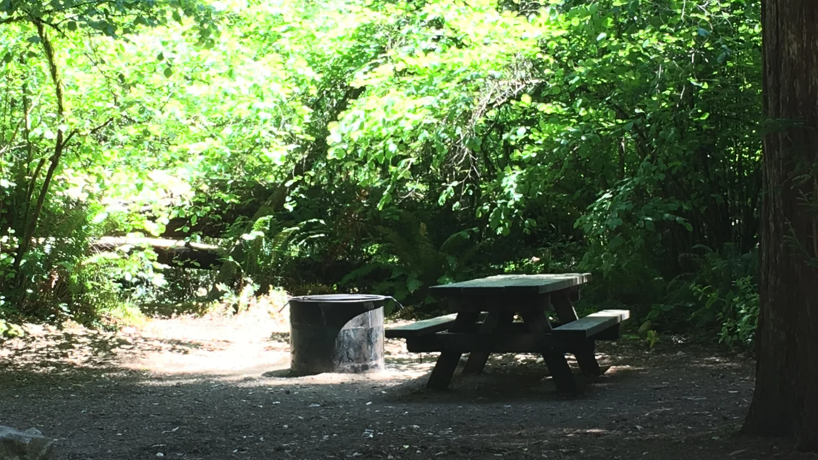 Campground site