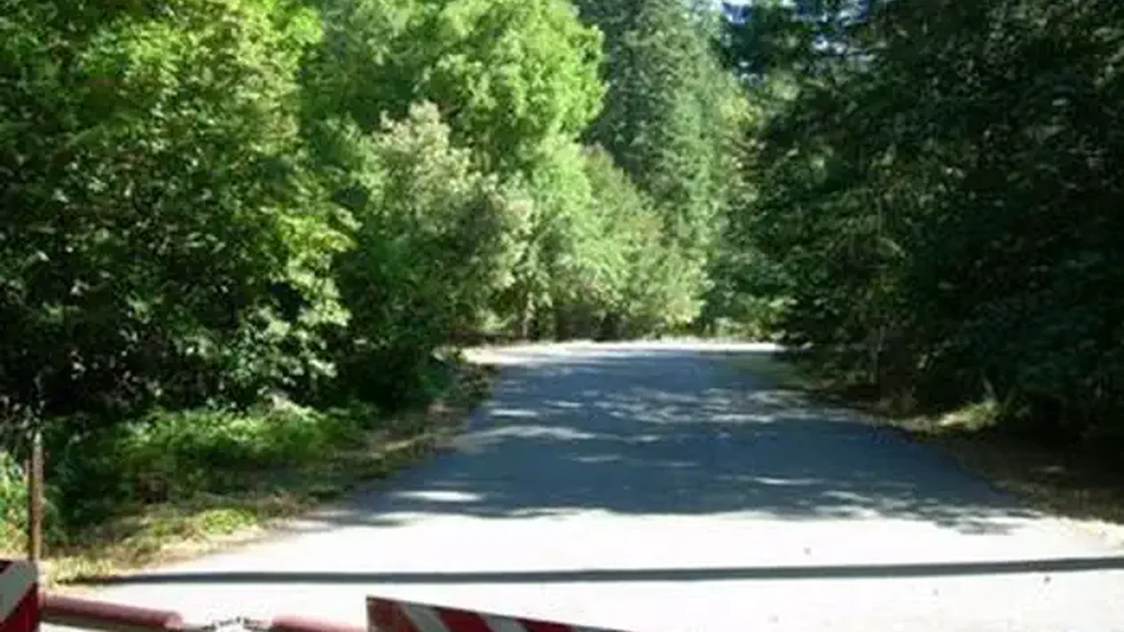 CHINQUAPIN GROUP CAMPGROUND