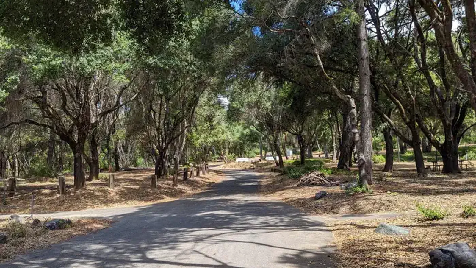Kyen Campground Roads