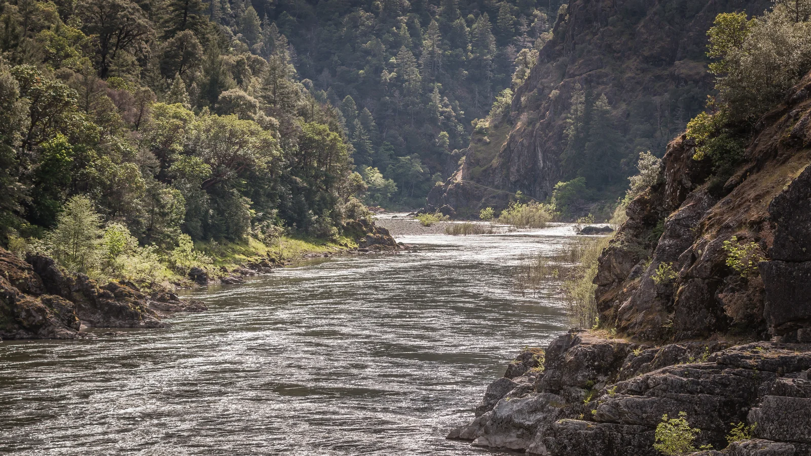 Rogue River View