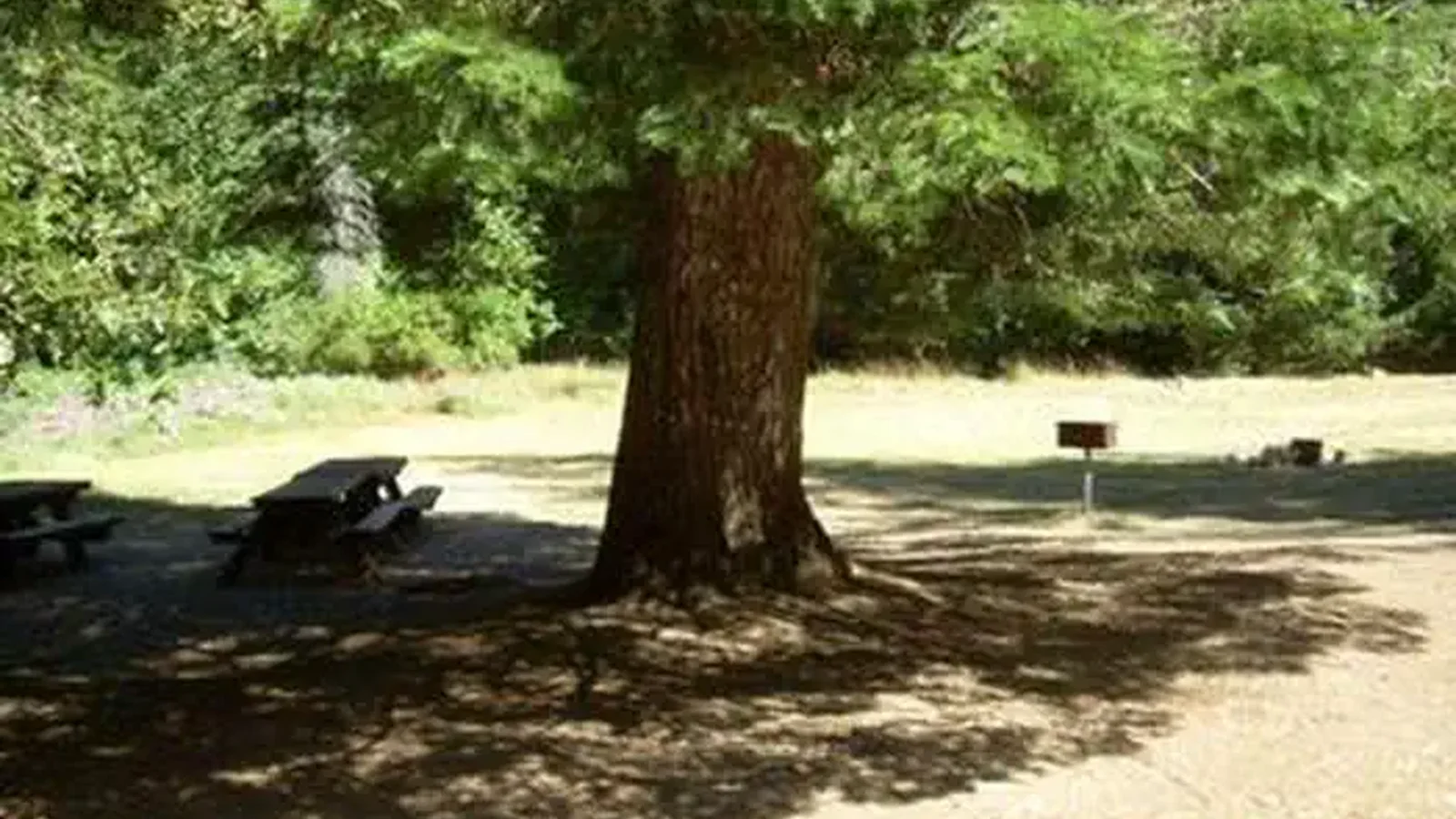 CHINQUAPIN GROUP CAMPGROUND