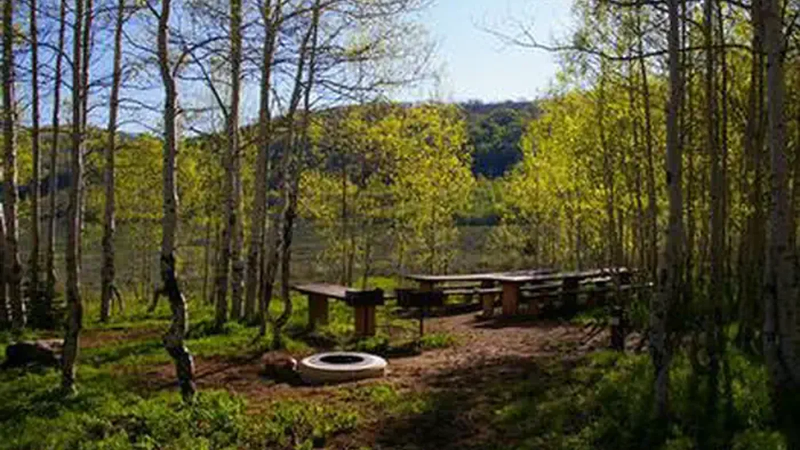 Gooseberry Group Campground