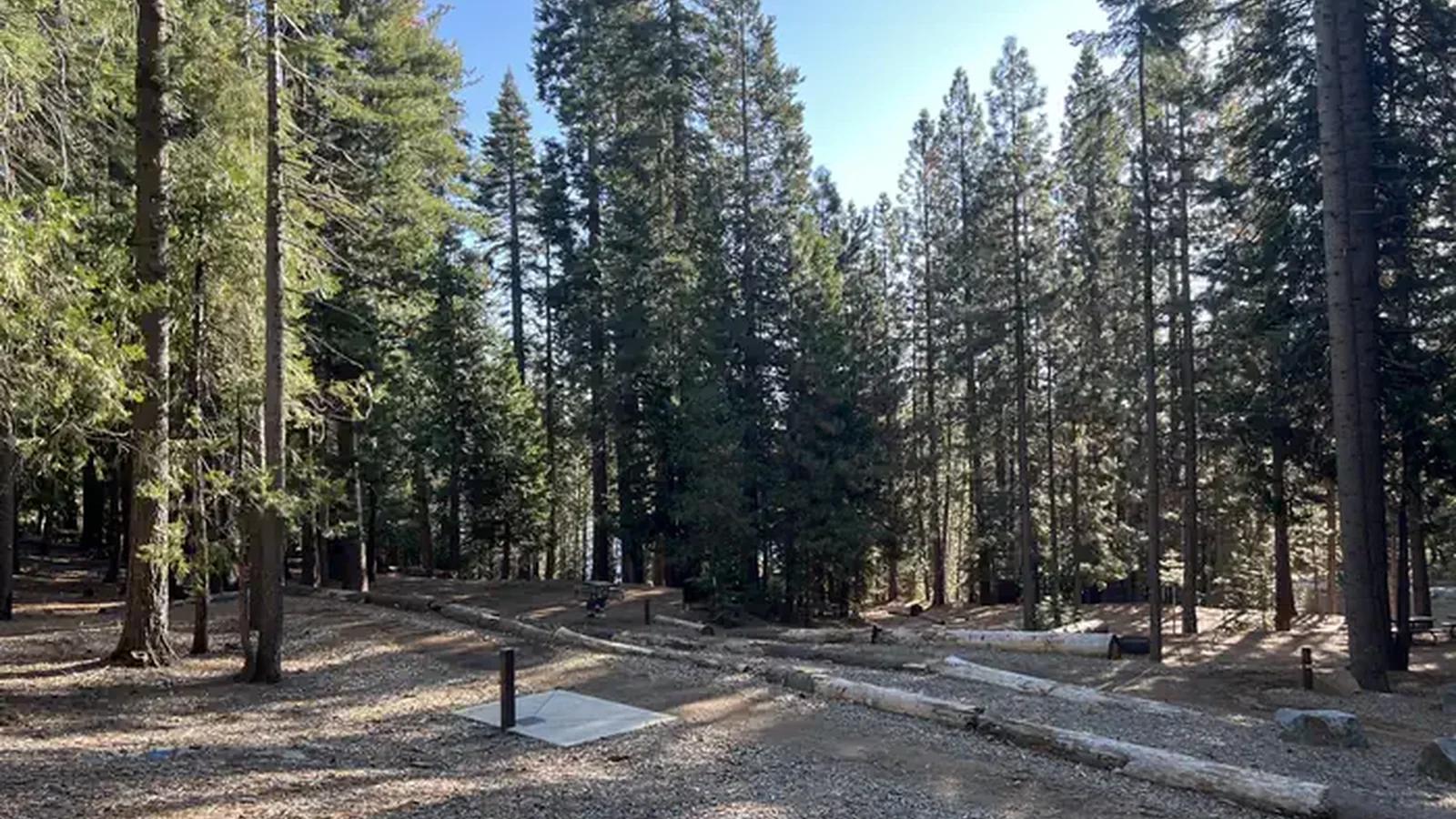 A photo of the walk-in sites at West Point Campground