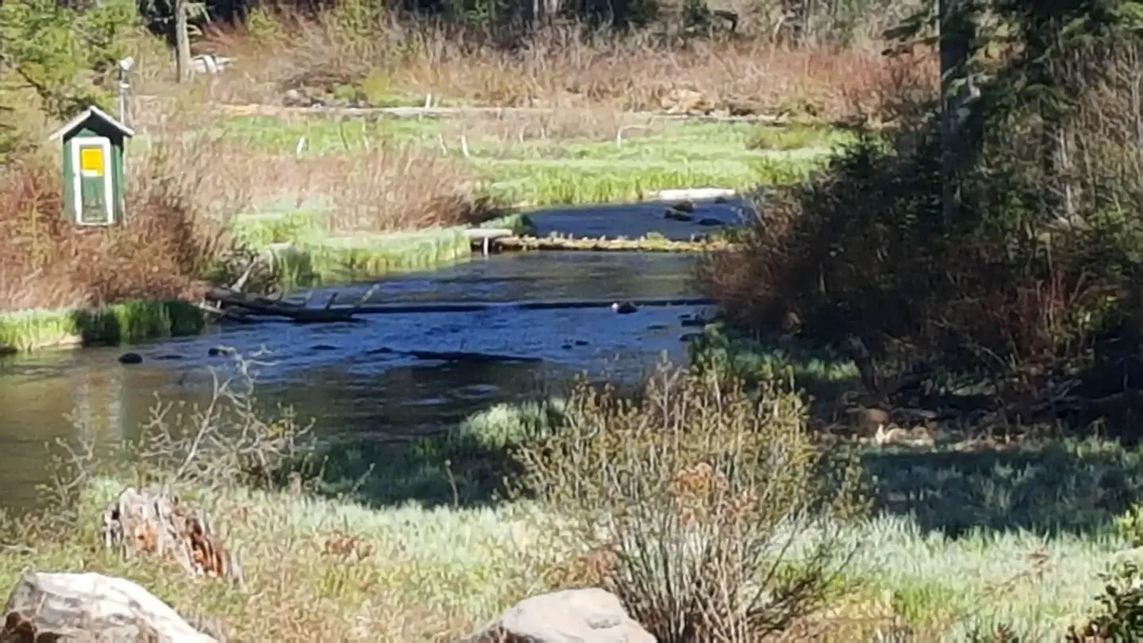 North Fork River
