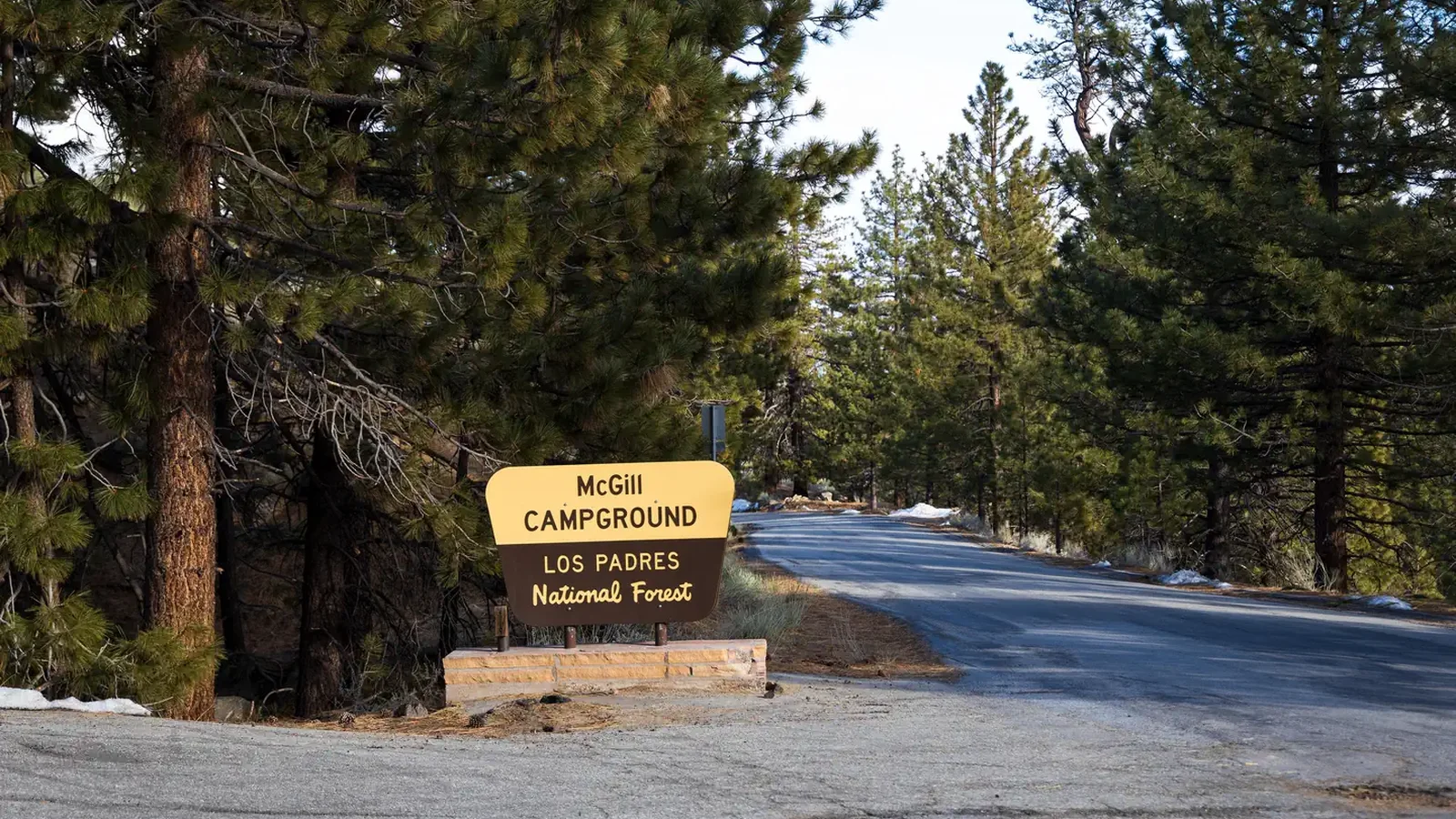 McGill Campground