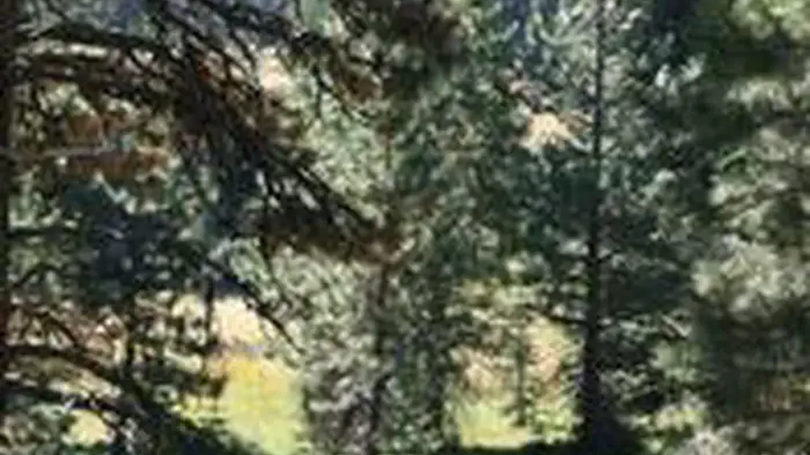 MASTERSON GROUP CAMPGROUND
