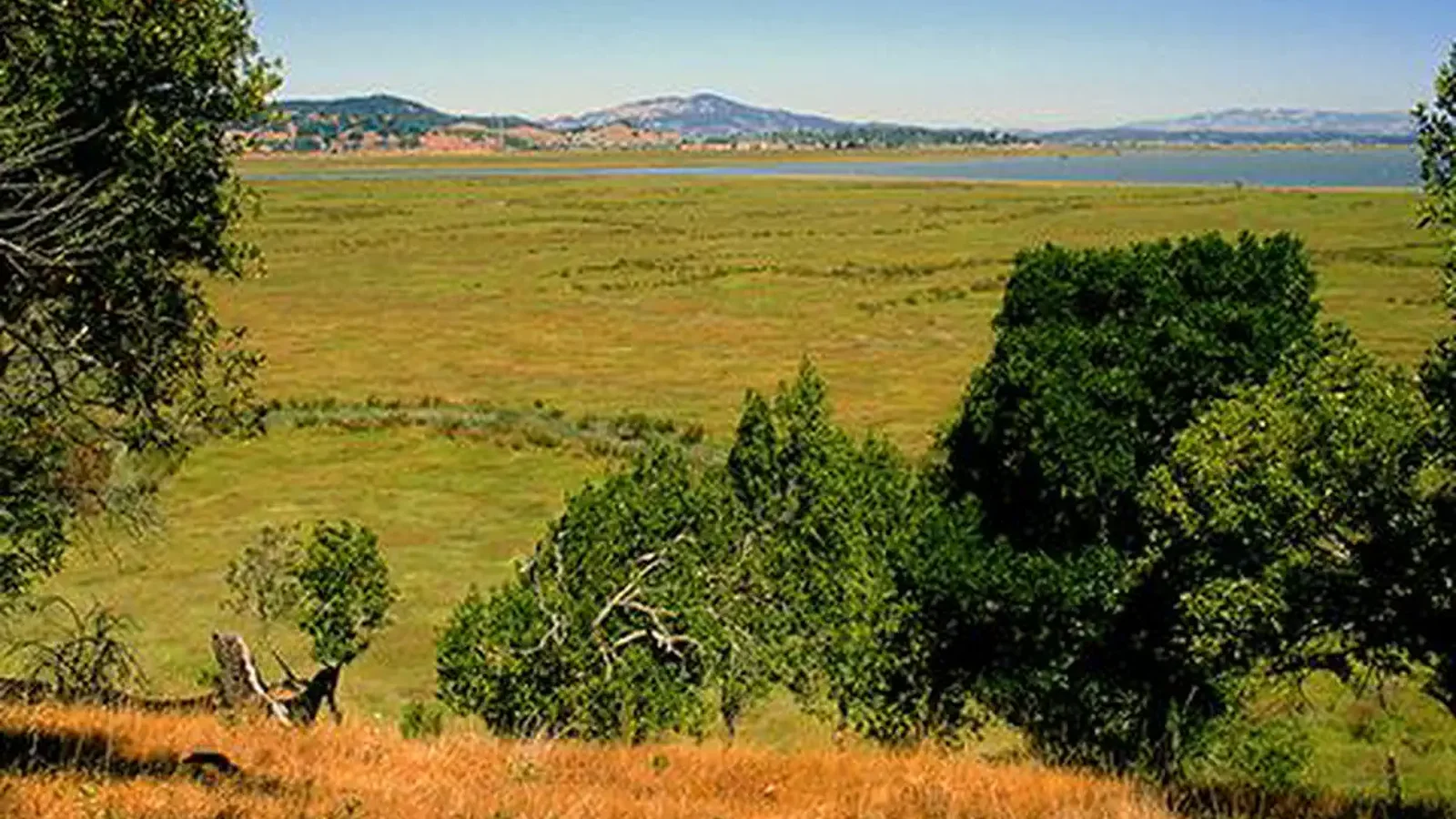 View of San Francisco Bay from the San Francisco National Estuarine Research Reserve, California