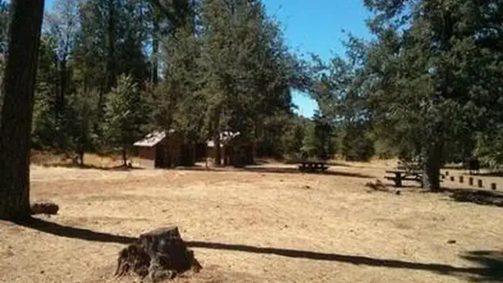 PINES GROUP STANISLAUS
