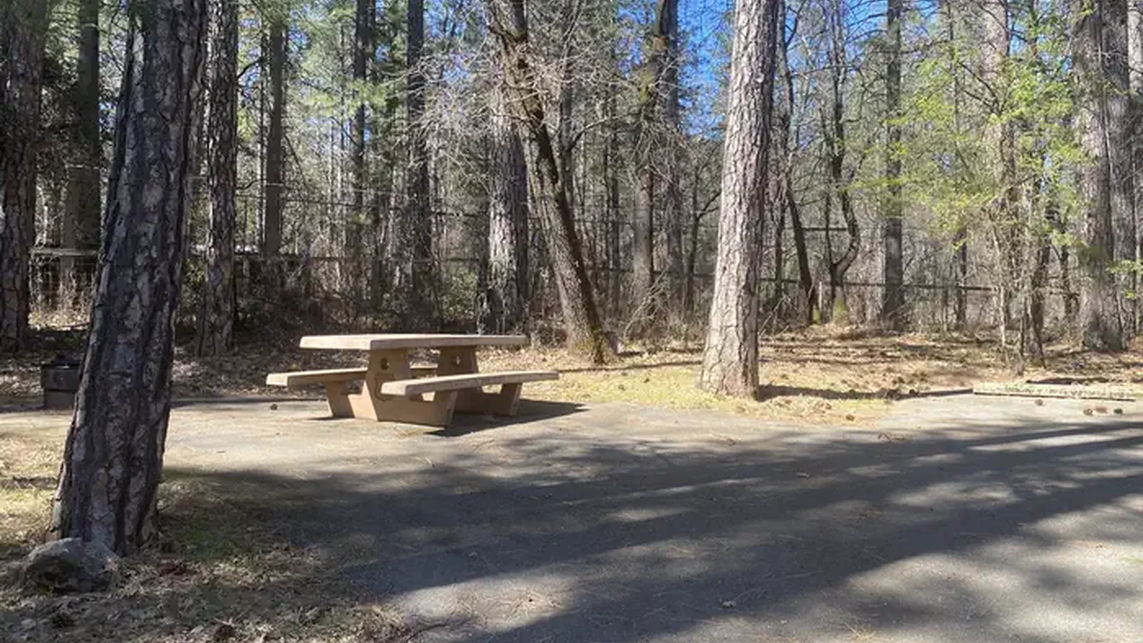 A photo of facility LAKESHORE EAST with Picnic Table, Fire Pit, Shade, Tent Pad