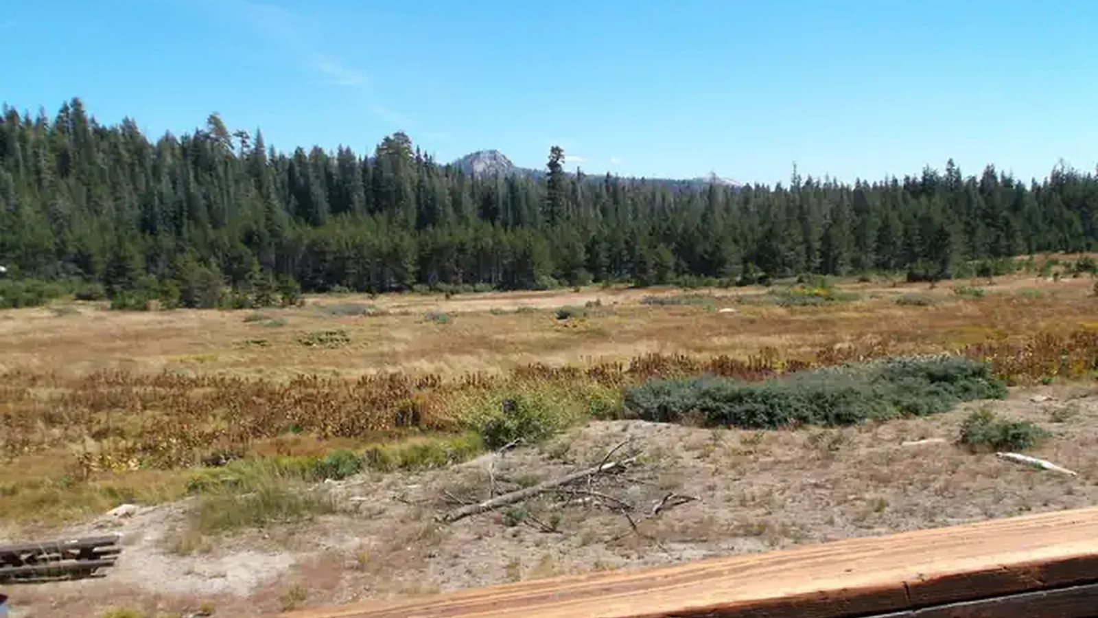 VAN VLECK MEADOW