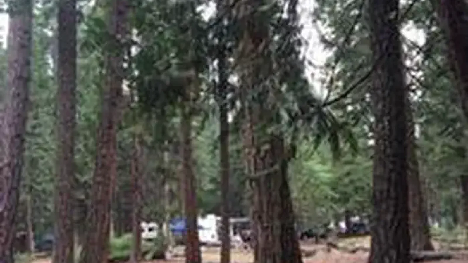 WENCH CREEK