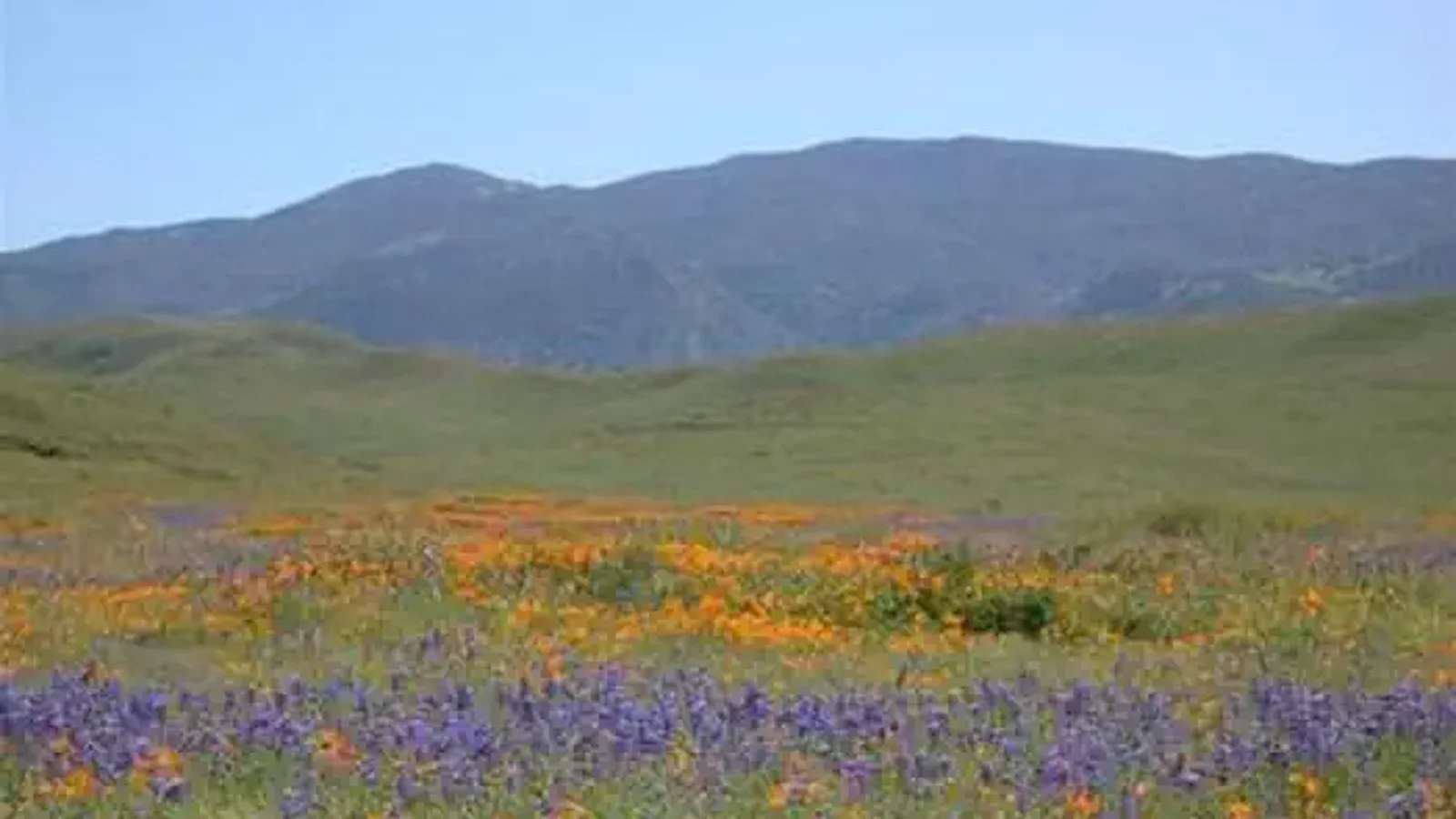 Carrizo Plain National Monument