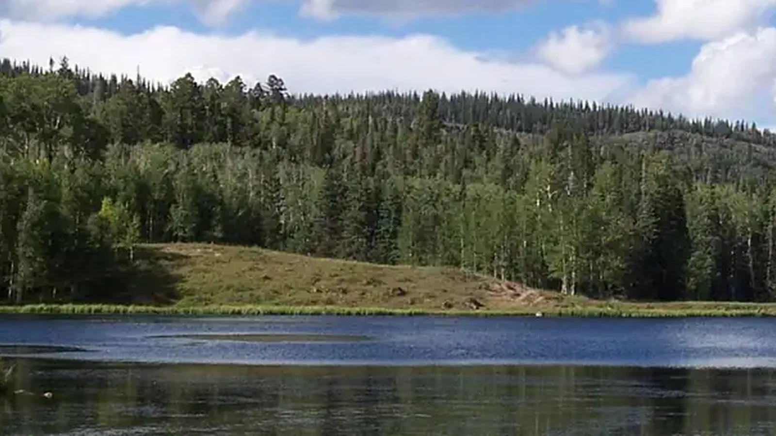 Upper Barker Reservoir surrounded by aspen and conifer trees.