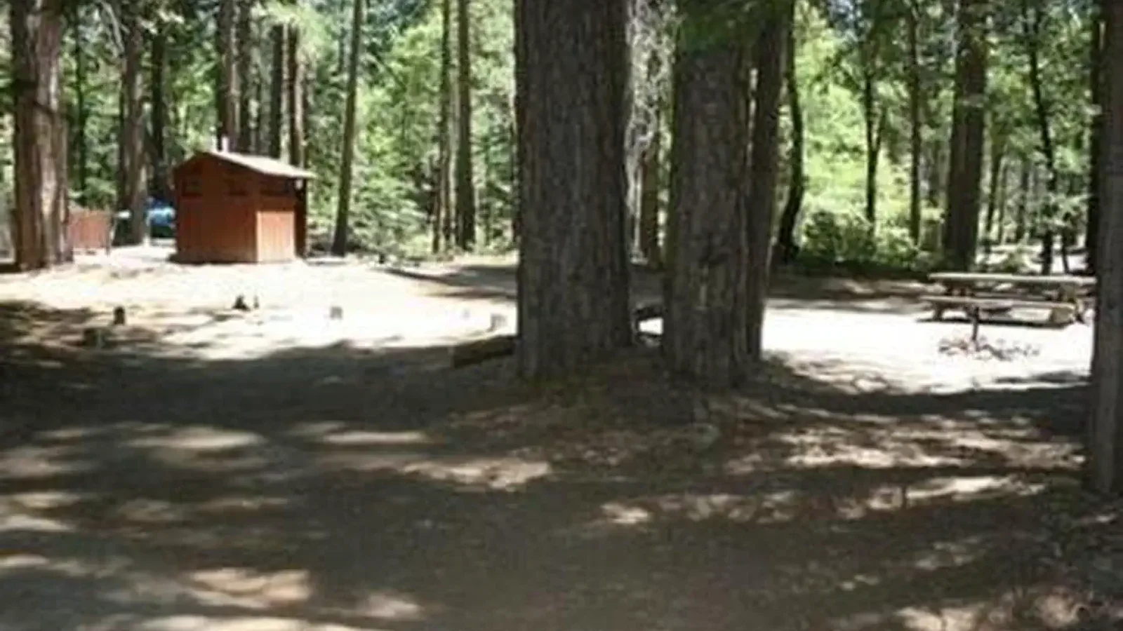 ROCK CREEK (SIERRA NATL FORES)