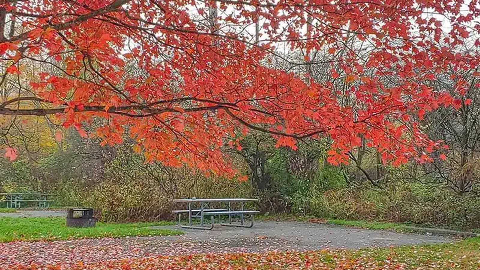 KELLETTVILLE RECREATION AREA (PA).