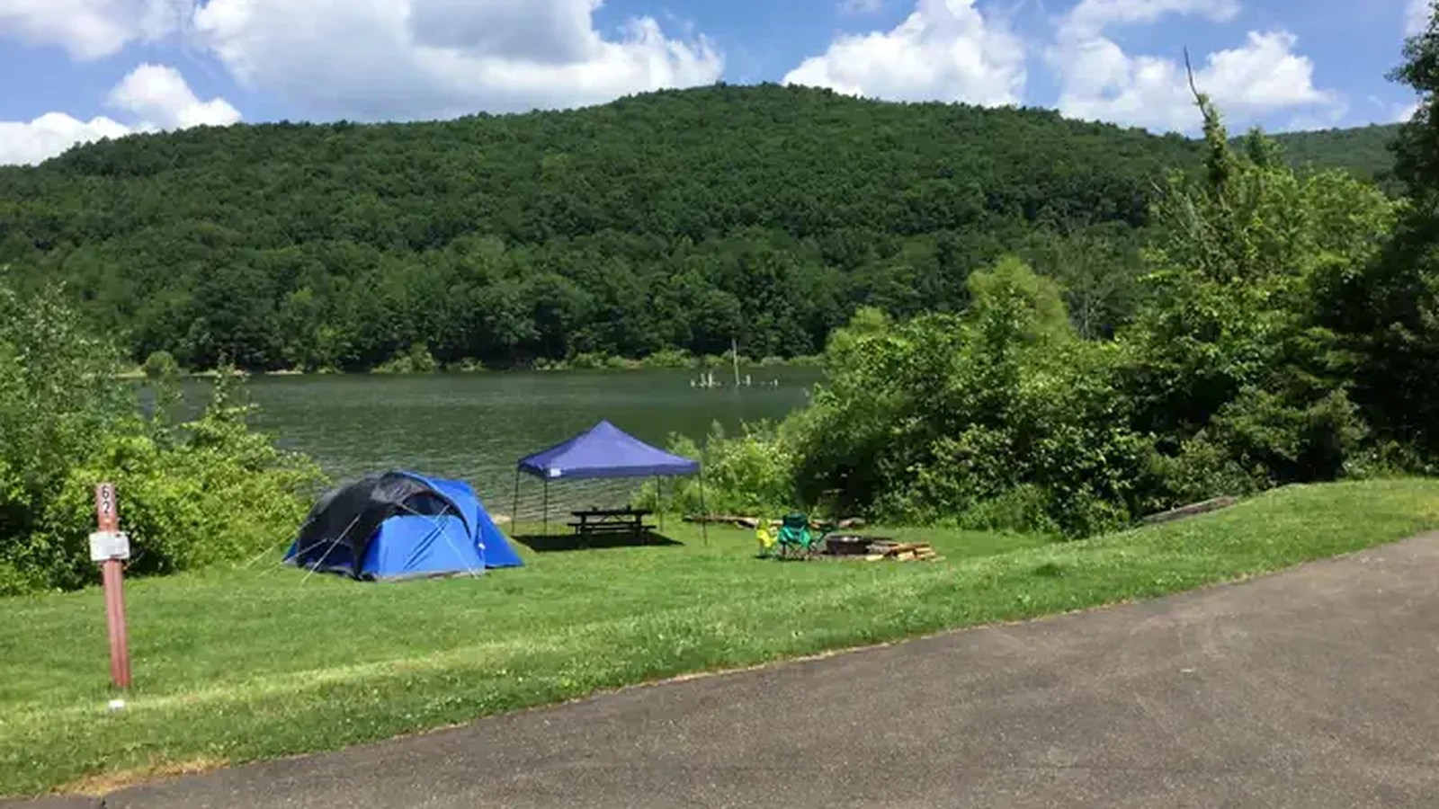 Summer at Willow Bay