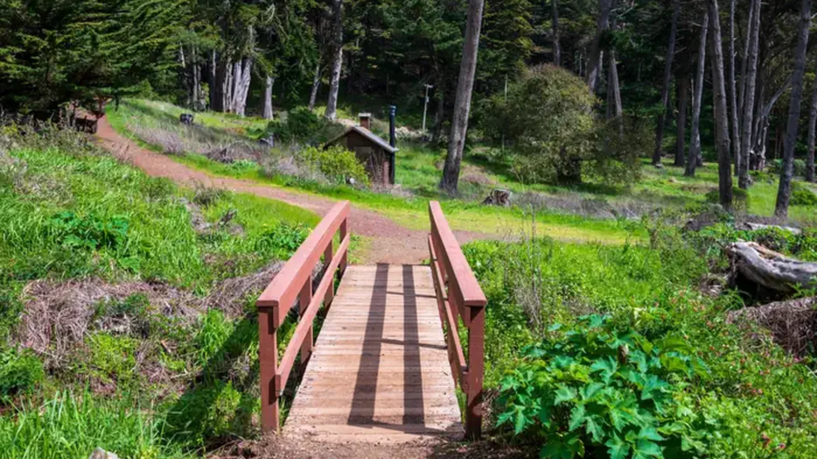 Footbridge entryway into the Kirby Cove Campground.