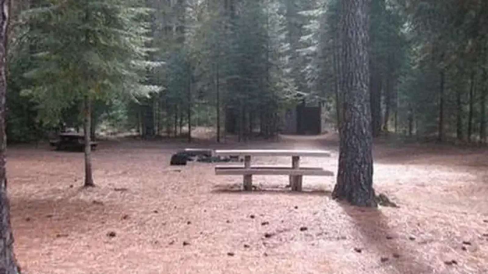 CAMP 4 GROUP CAMPGROUND