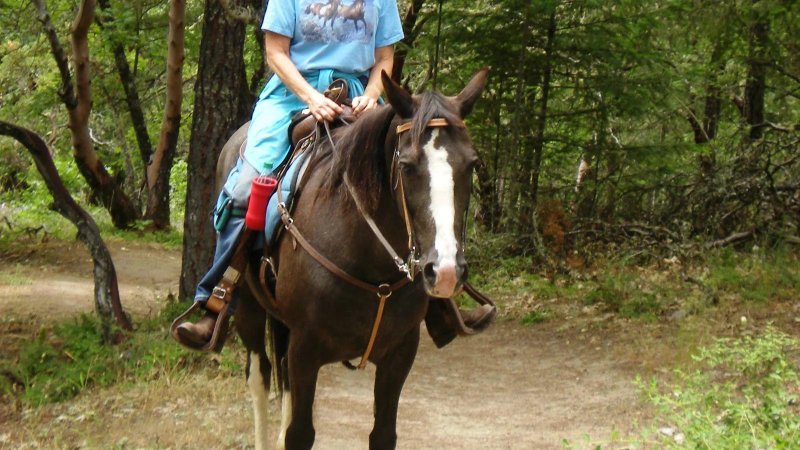 Horseback rider on the Cathedral Hills Trail System.