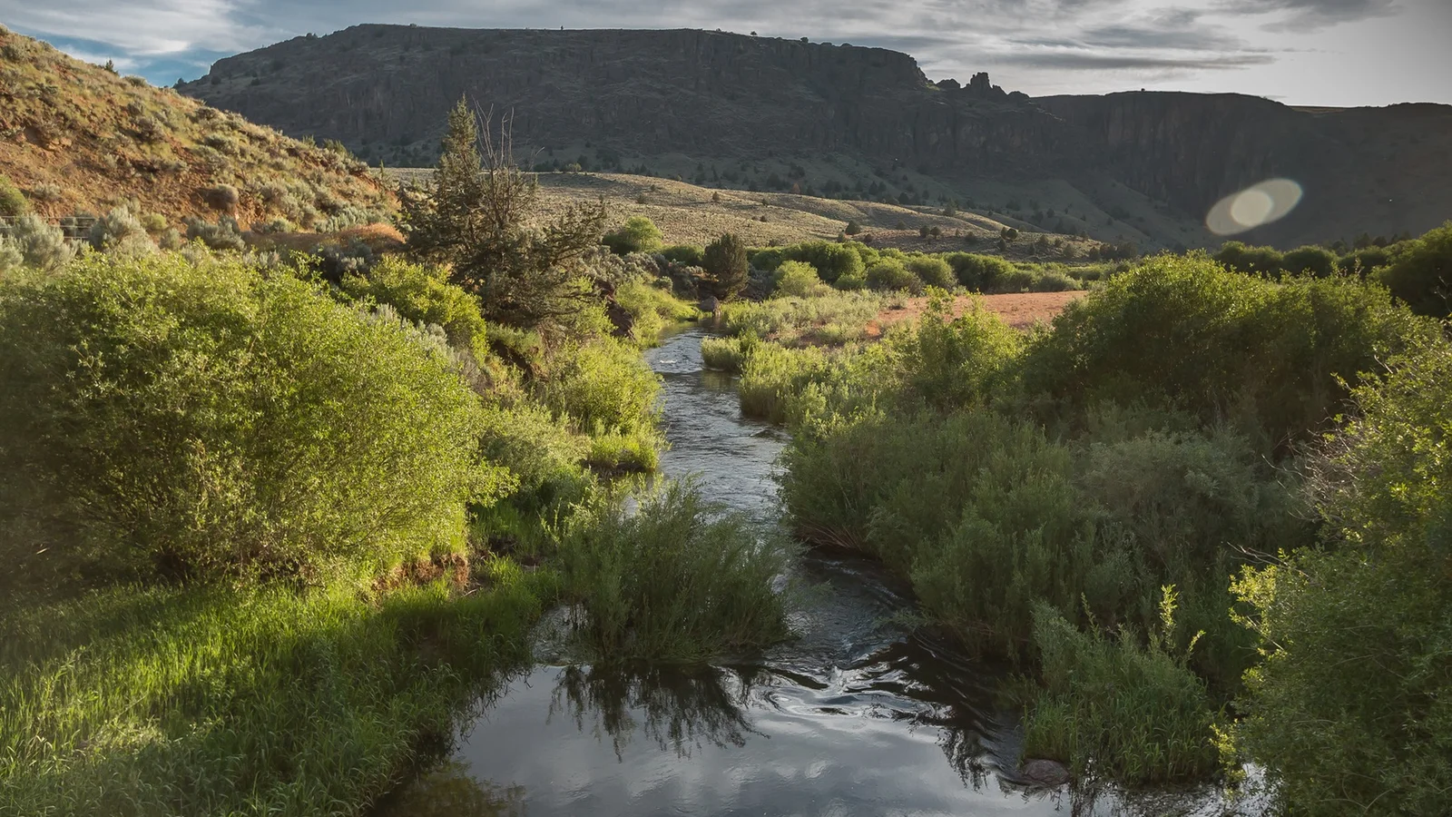 North Fork Owyhee with the Three Forks Dome in the background