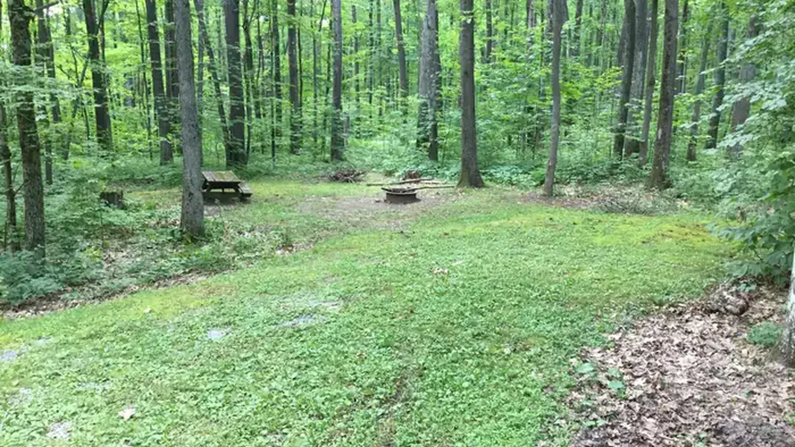 Typical Tracy Ridge campsite
