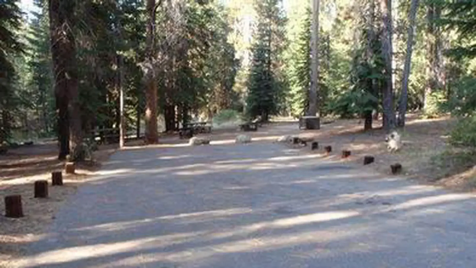 A wide driveway between campsites at a forested campground