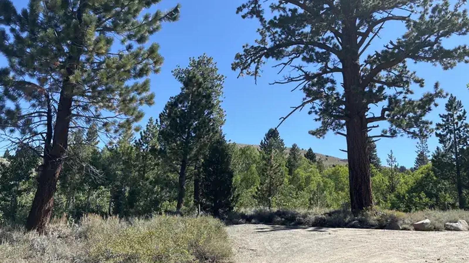 A photo of facility Obsidian with No Amenities Shown
