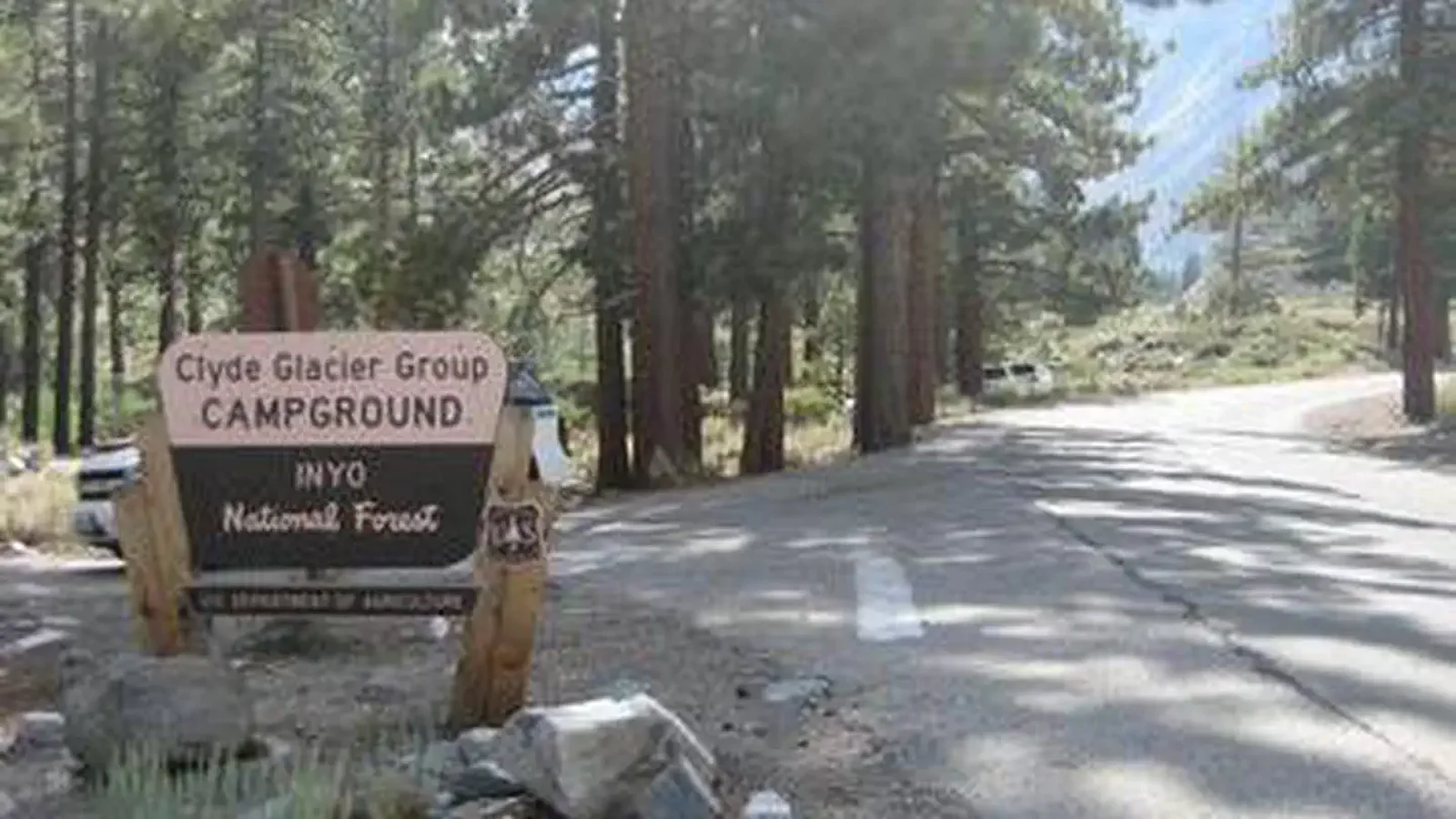 A Forest Service brown and yellow sign on the side of a road