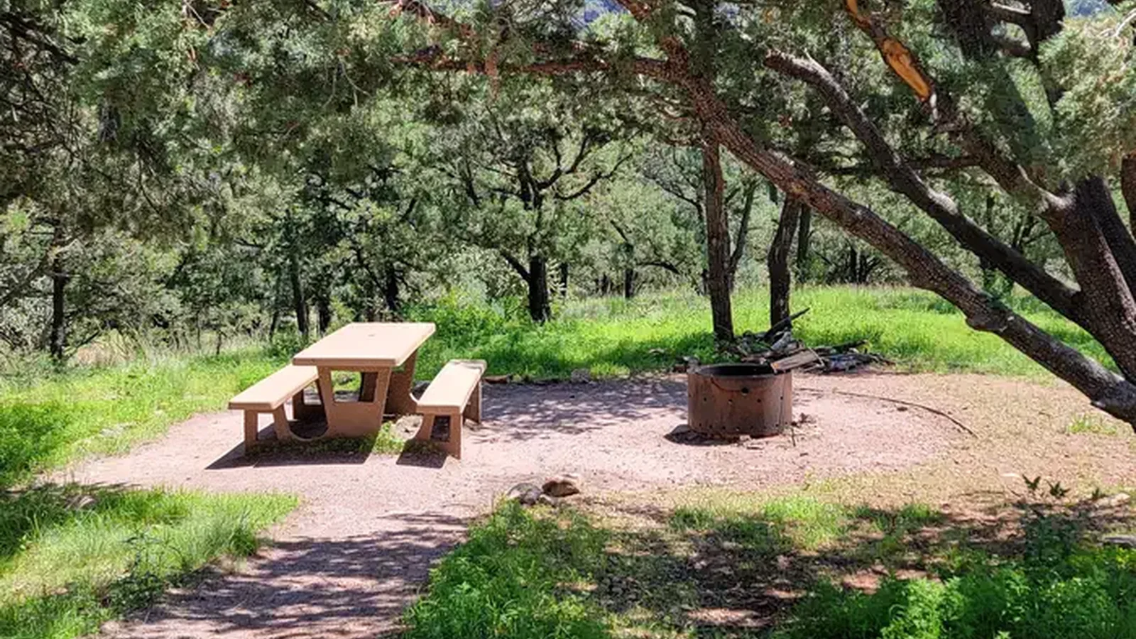 Campsite