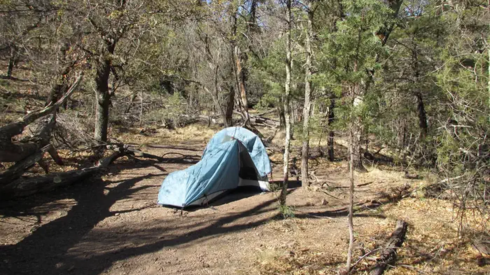 Backpacking Campsite in the Chisos Mountains