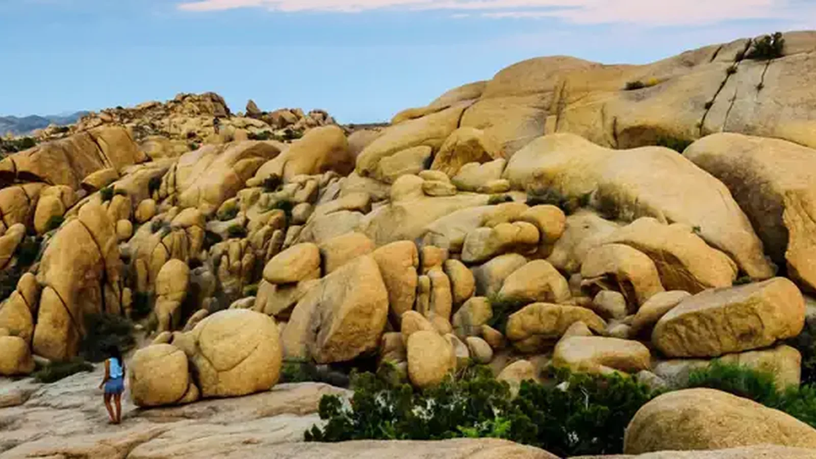 Jumbo Rocks, Joshua Tree National Park