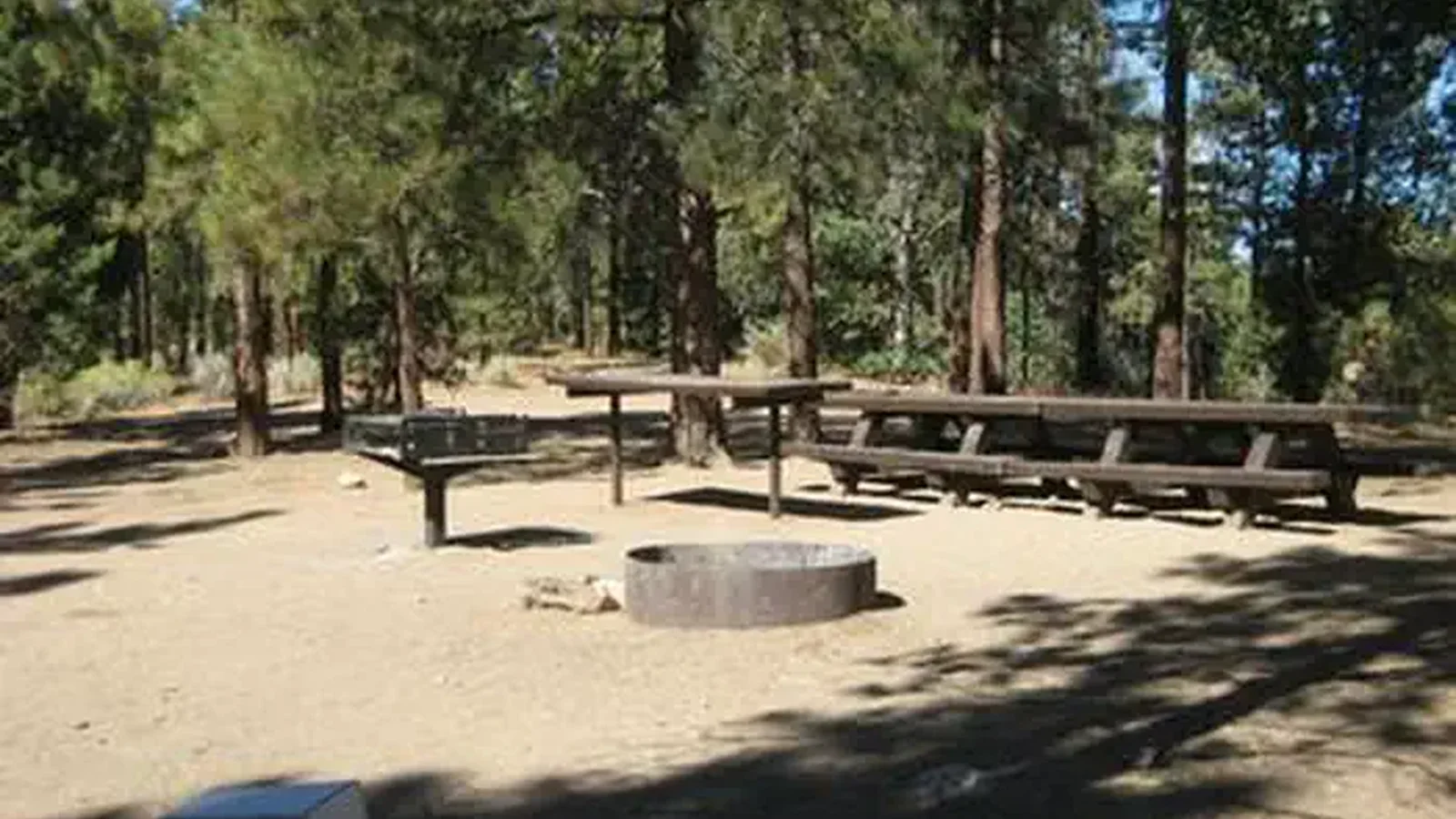 Shade, Picnic Tables, BBQ Grill & Fire Pit of the Skyline Campground