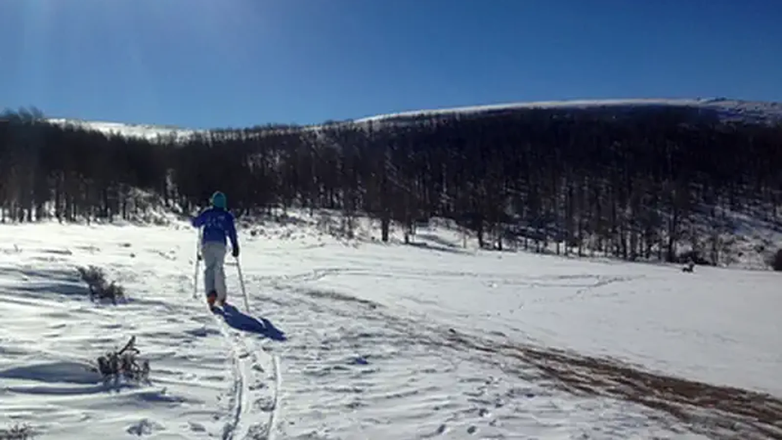 Viva Naughton Ski Trail