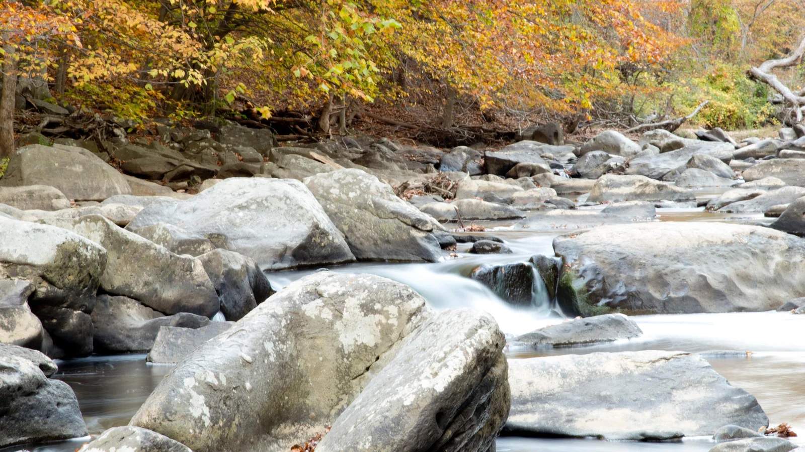 Rocks in the Creek