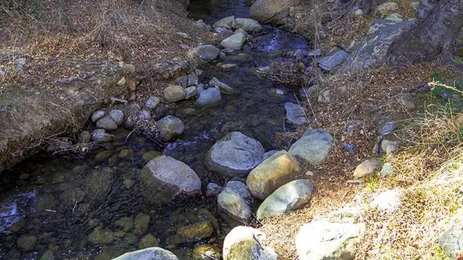 REYES CREEK CAMPGROUND1