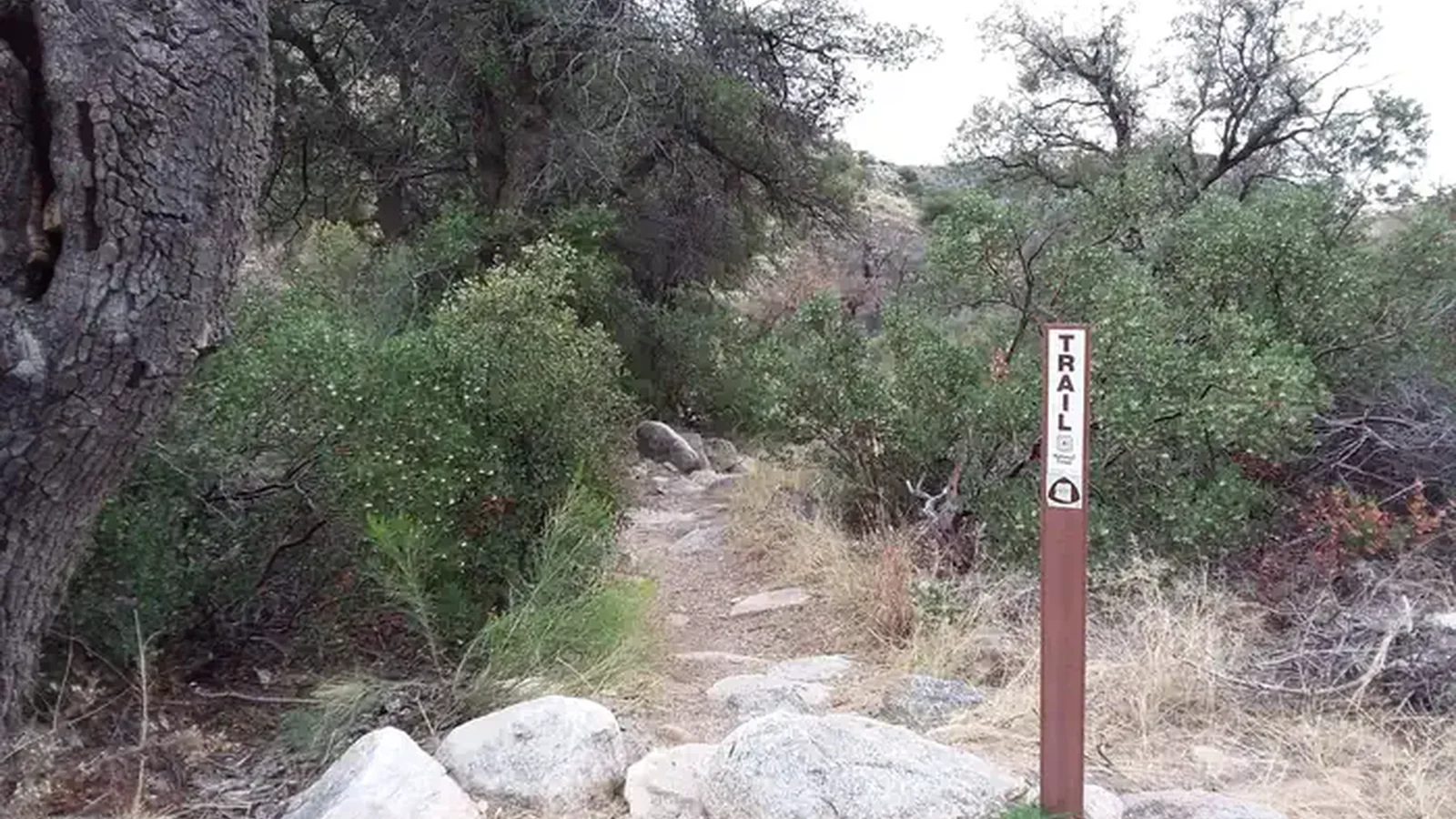 Arizona Trail