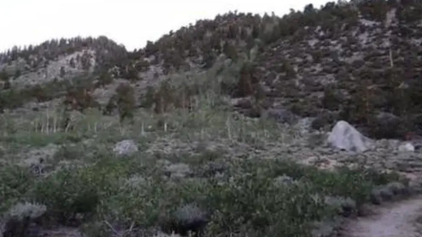 PALISADES GROUP CAMPGROUND