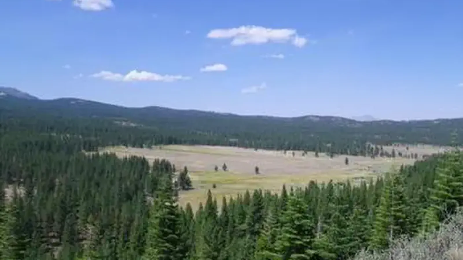 Lookout Campground
