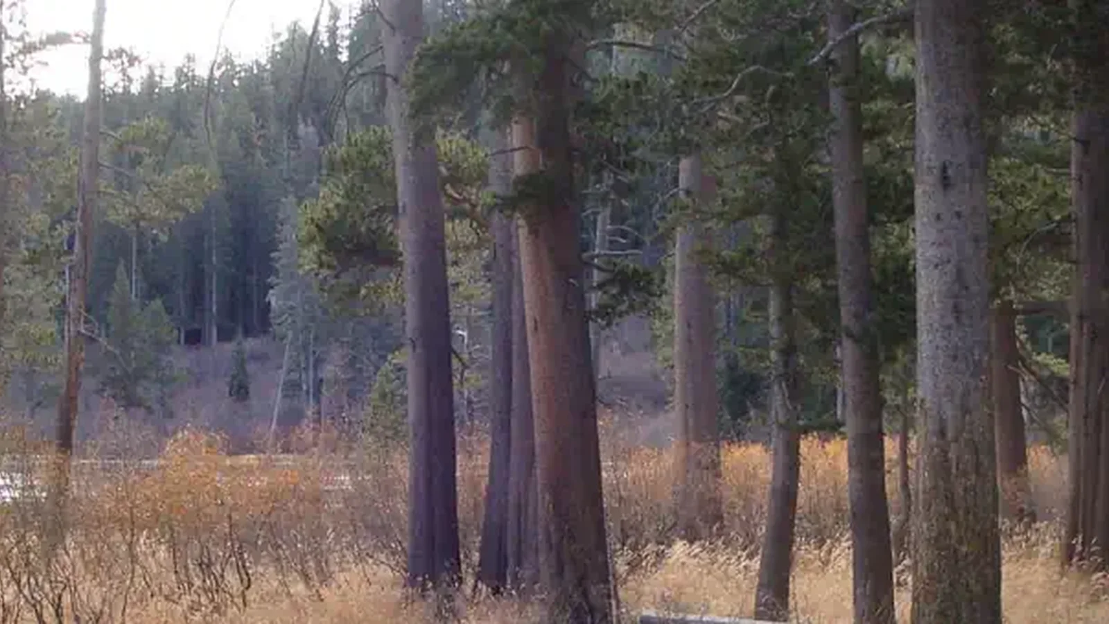 Twin Lakes CG