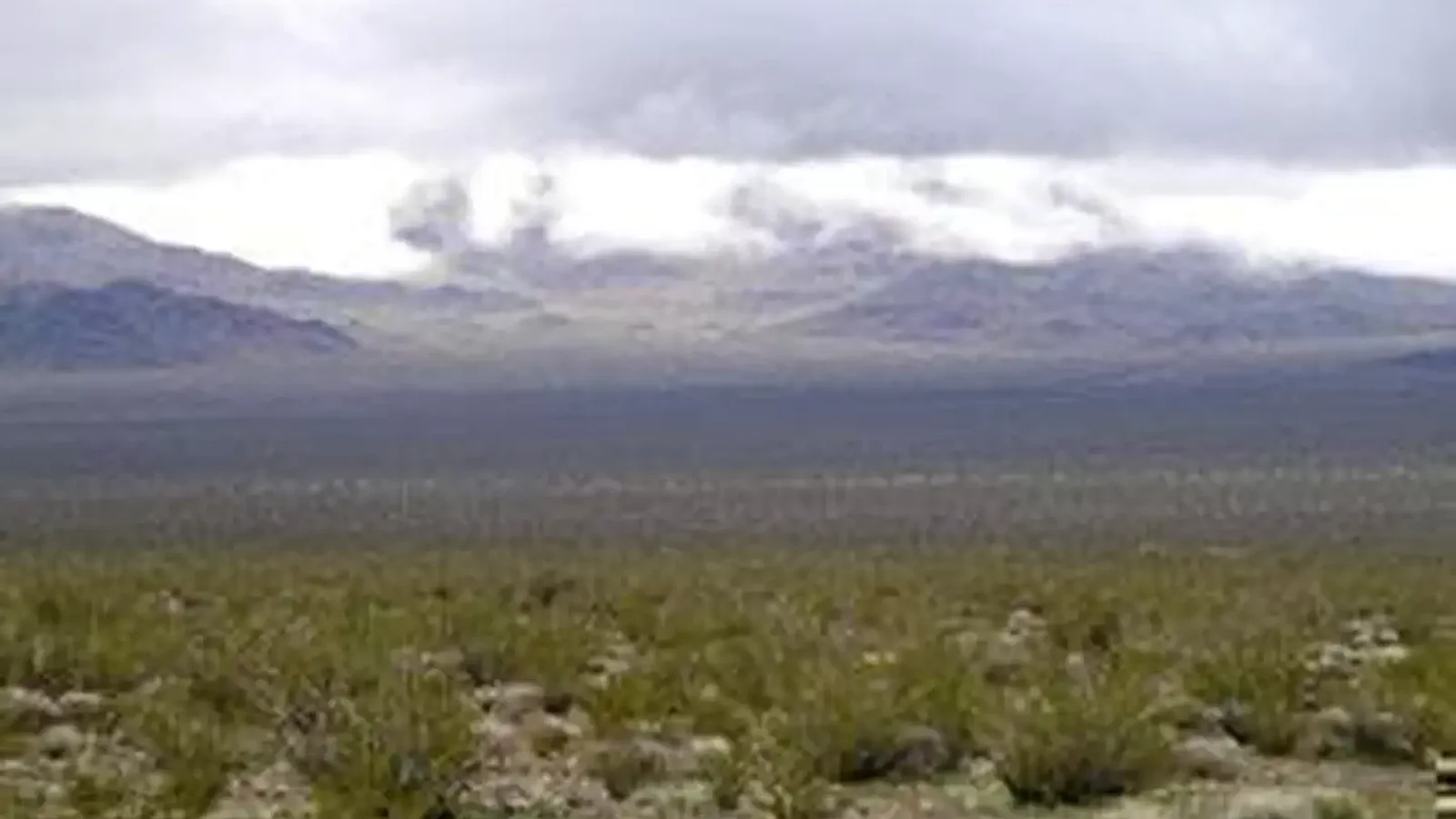 Kelso Dunes Wilderness
