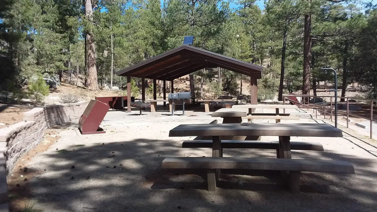 Bobcat group area.