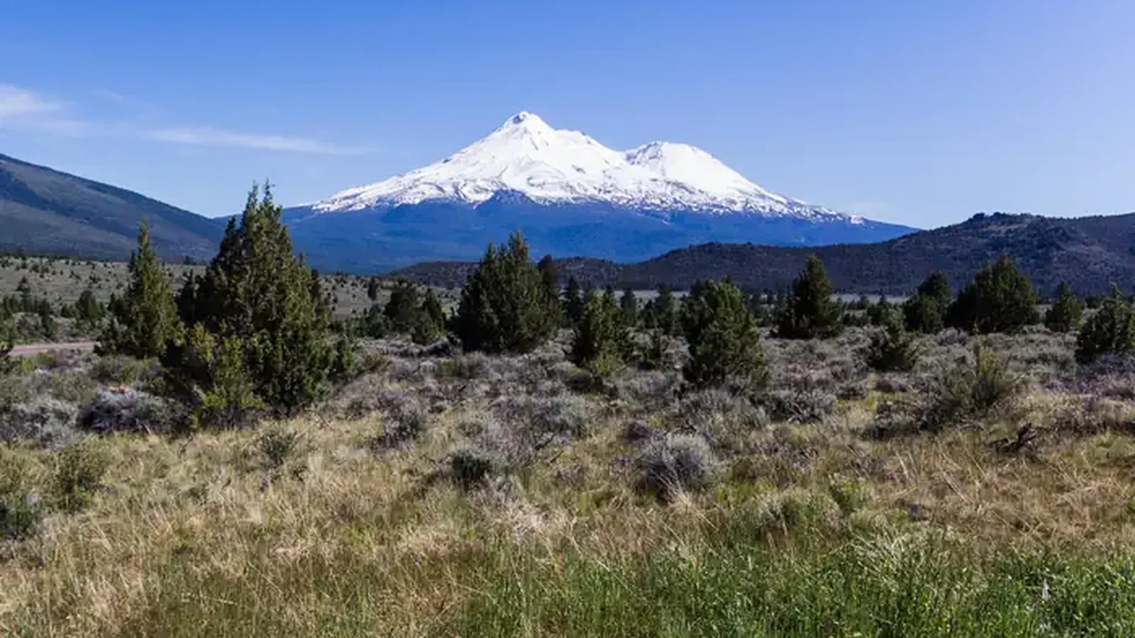 Mount Shasta