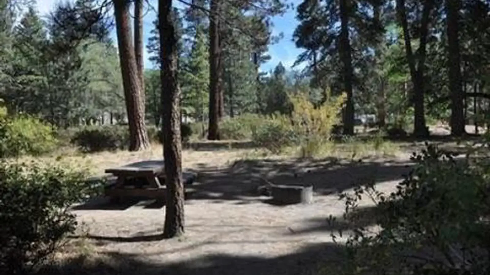 Picnic Table & Fire Pit at Hanna Flat Campground