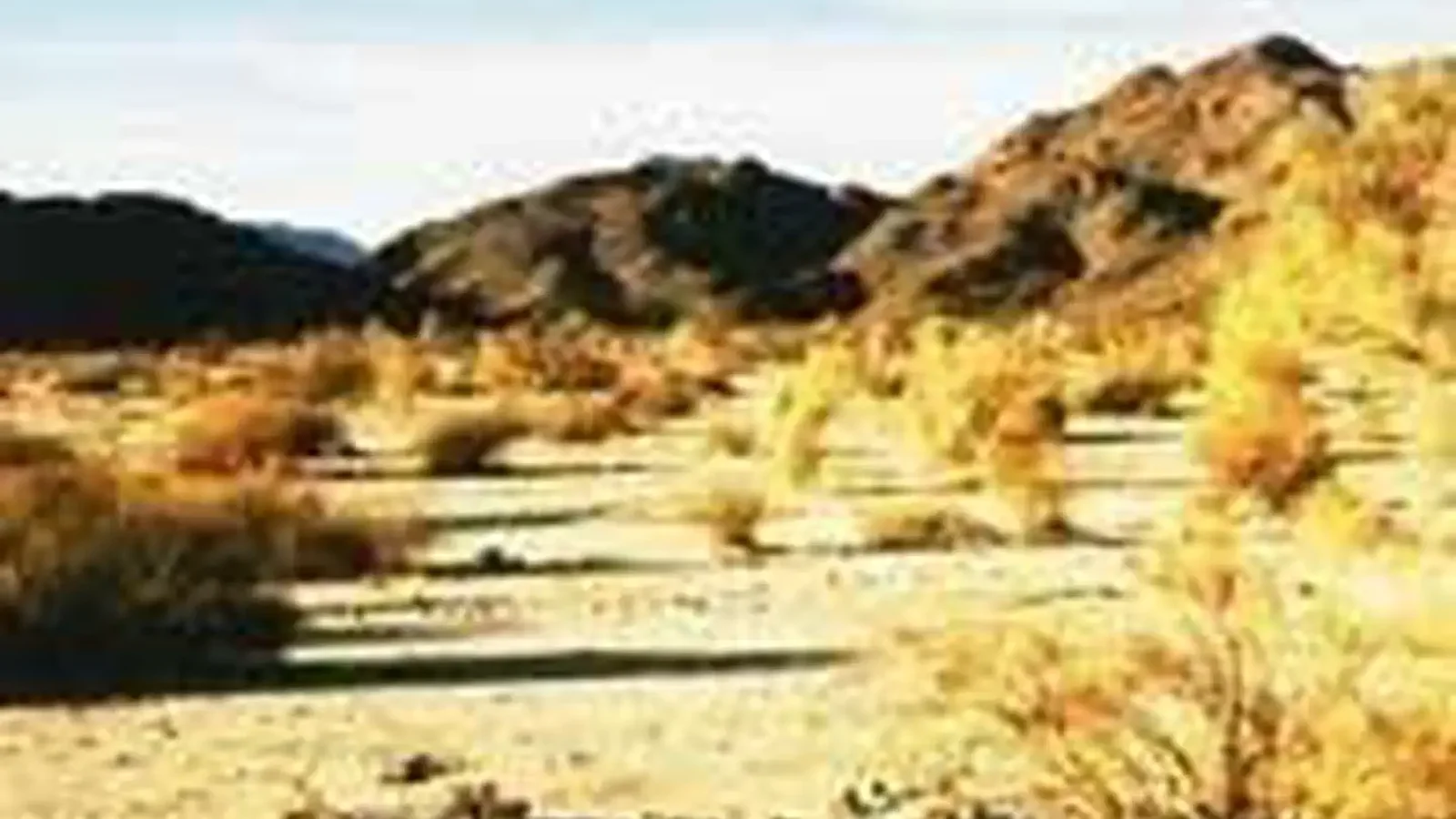 Cleghorn Lakes Wilderness