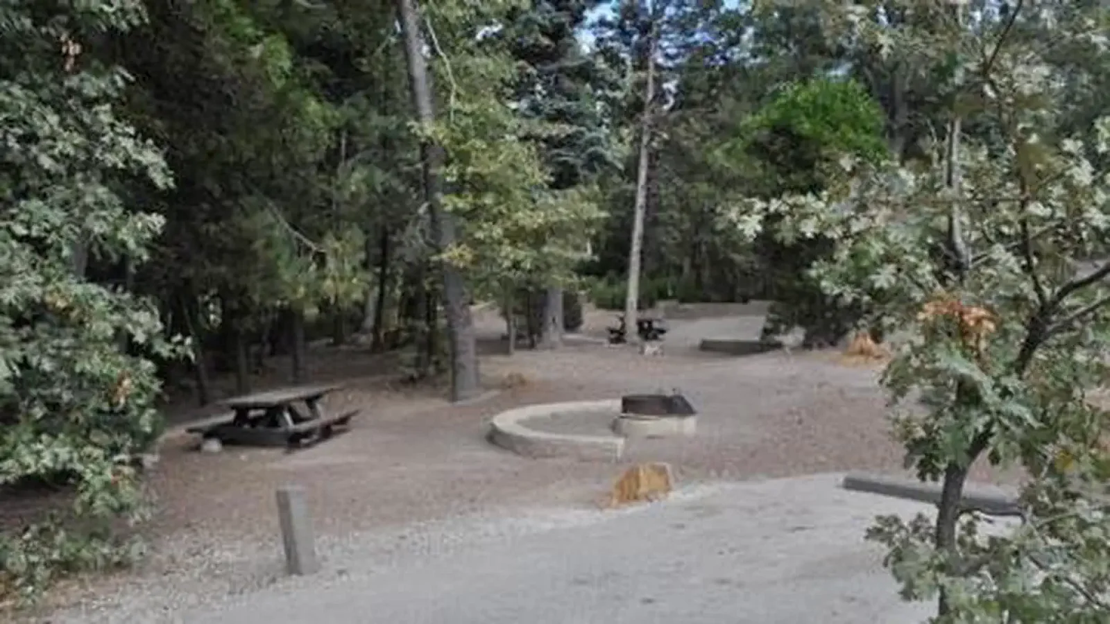 Family seating around fire ring at Dogwood Campground