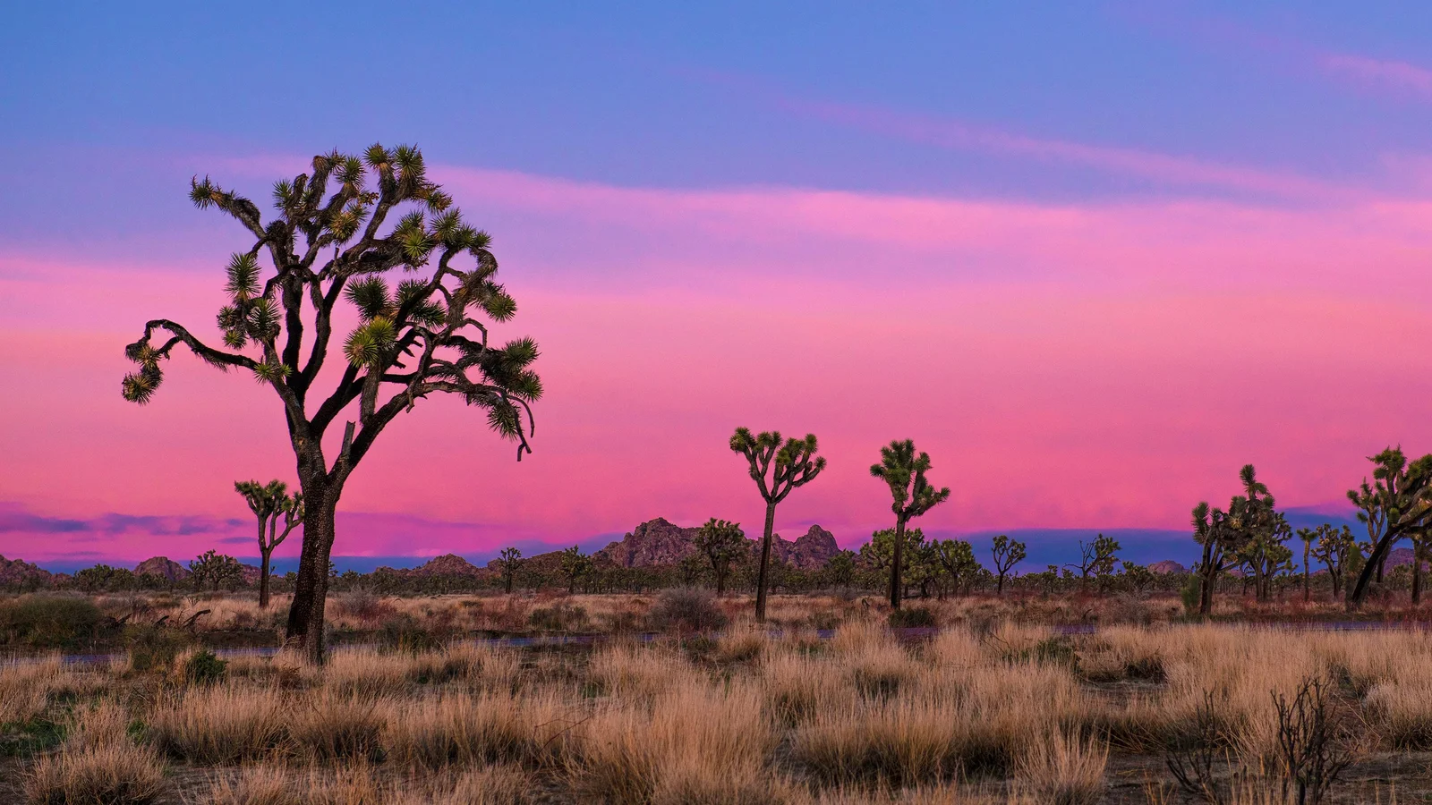 Quail Springs Area at Sunset